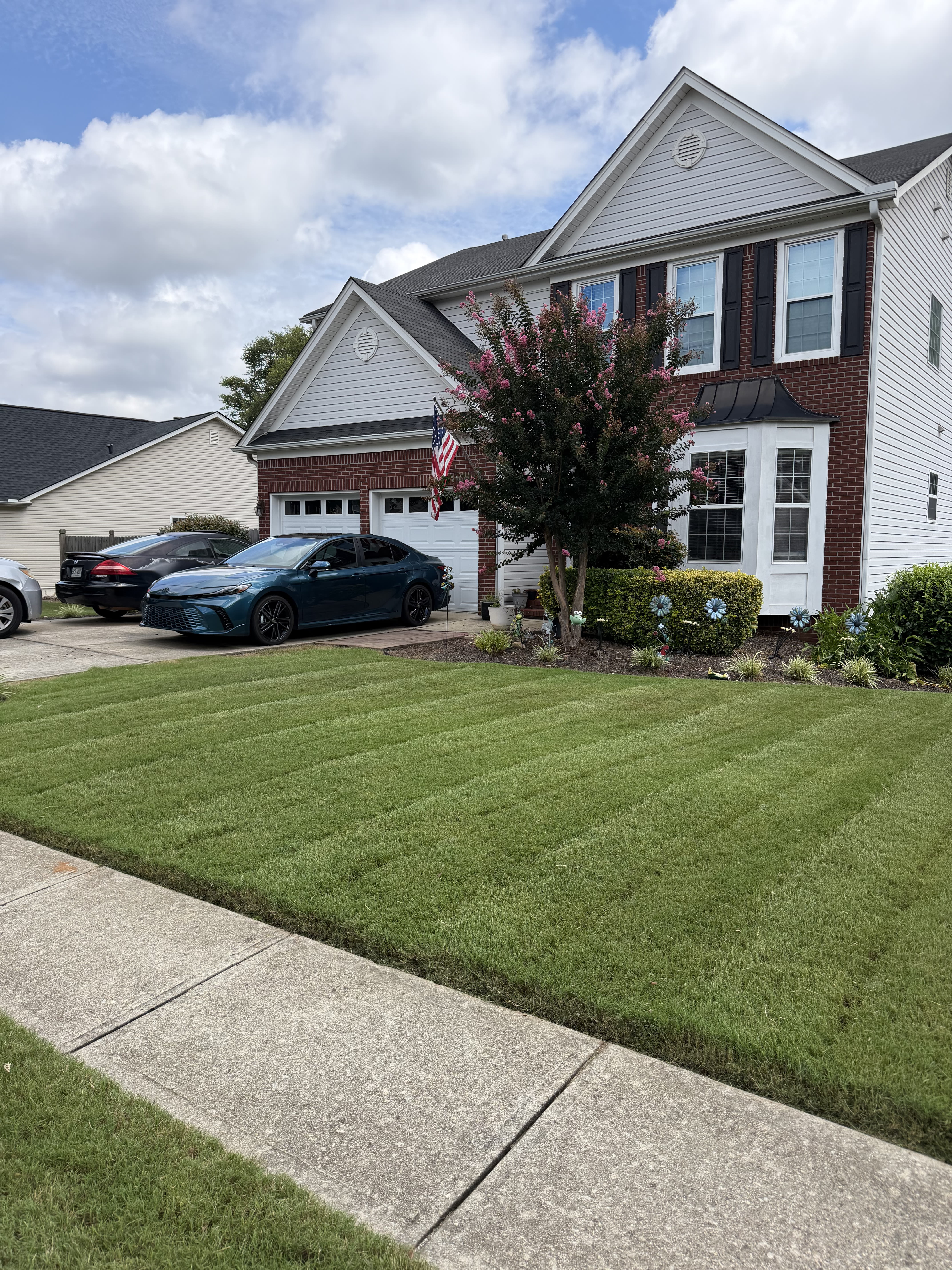 Vine Of Truth Landscaping project 1 of 12